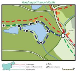 Nova urejena pot v Krajinskem parku Rački ribniki-Požeg 4